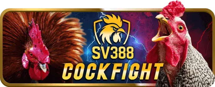 Hoàn Trả Cực Cao shbet VIP